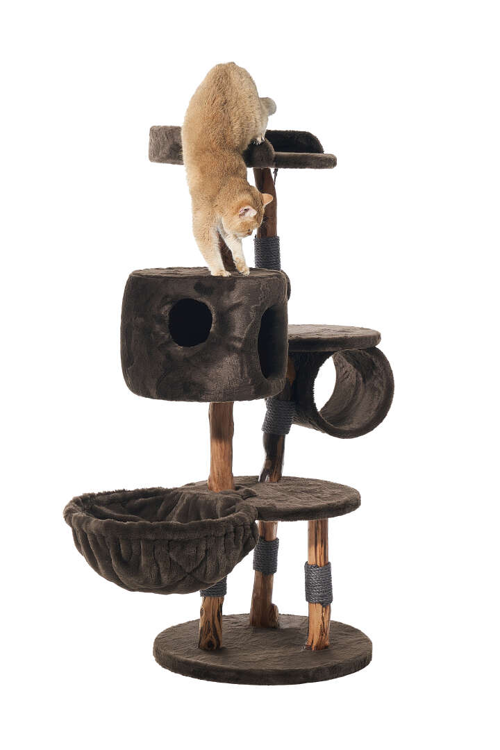 Nobby Kratzbaum Gena